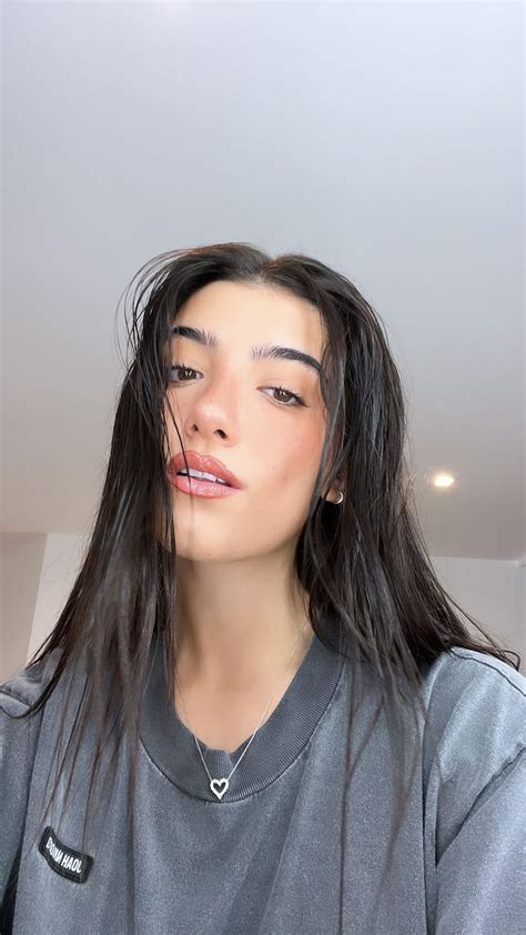 Charli D'Amelio'S Instagram: Fan Reactions | ICRW — Creator Insight Briefs