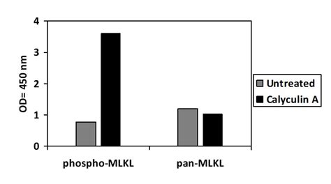 Human Phospho Mlkl S And Total Mlkl Elisa Kit Raybiotech