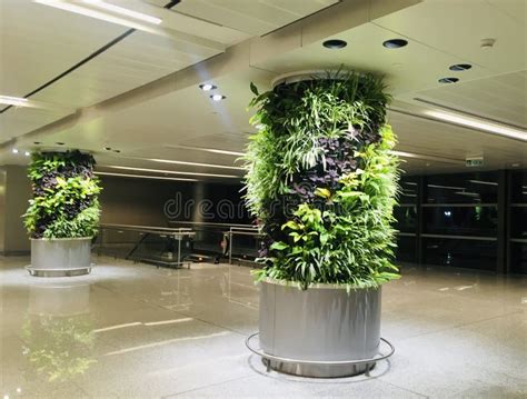 Vertical Green Foliage on Columns at Departure Hall of New Terminal ...