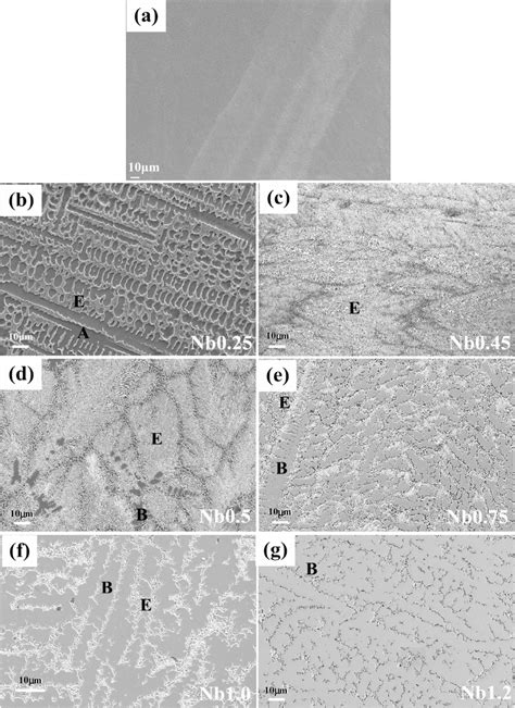 A Shows The Relationship Between Vickers Hardness And Nb Content Of Download Scientific