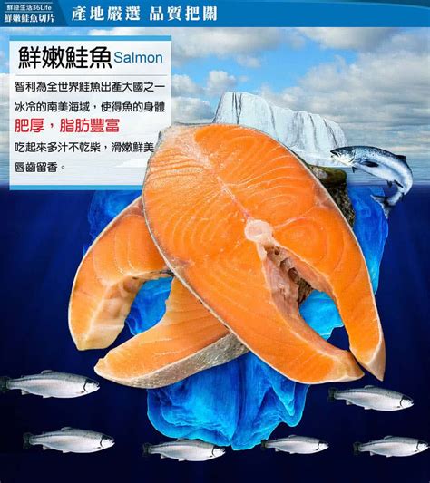 「鮮綠生活 送剖半鮭魚頭」帝王級特厚智利鮭魚切片380g±10片 共8片 價格品牌網