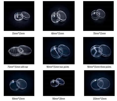 China Reasonable Price Laboratory Supplies Petri Dish Qingdao
