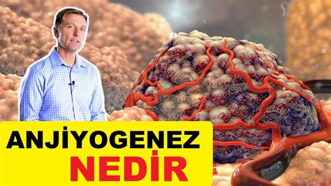 Anjiyogenez Nedir Dr Berg Türkçe YouTube