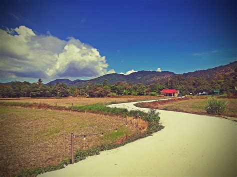 kampung road  balik pulau travel  penang