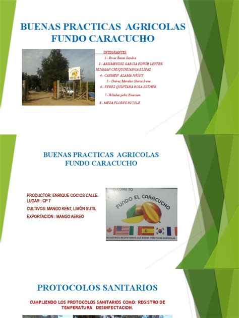 Buenas Practicas Agricolas Pdf