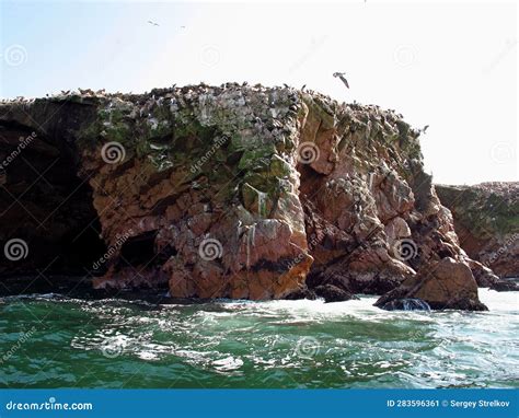 Rocks With Animals In The Pacific Ocean Paracas Peru Stock Image