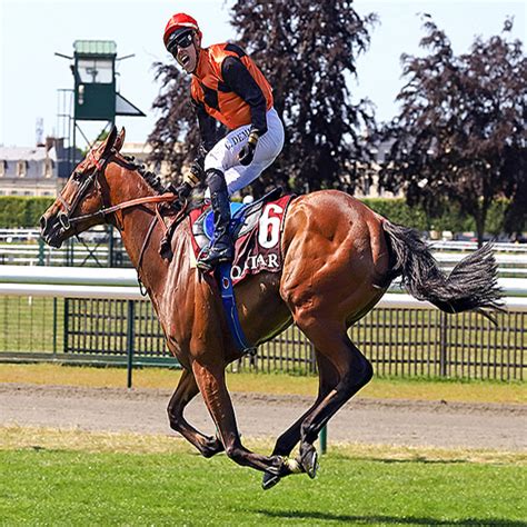 【凱旋門賞オッズ】日本馬スルーセブンシーズは17倍で7番人気タイ 1番人気は無敗の仏ダービー馬 2023年9月11日掲載 ライブドアニュース