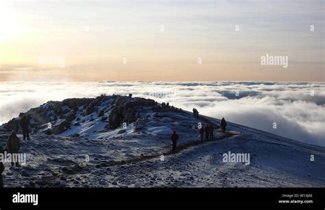 Mount Kilimanjaro, Mount Kilimanjaro Province / Tanzania: 7. January 2016: many climbers and ...