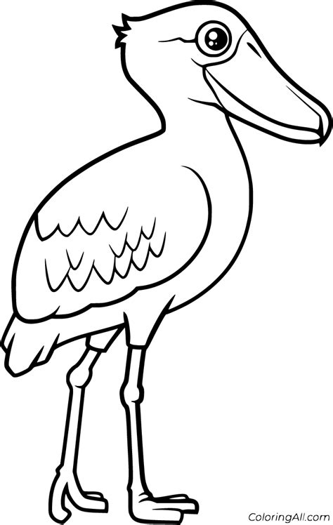 5 free printable Shoebill coloring pages in vector format, easy to ...