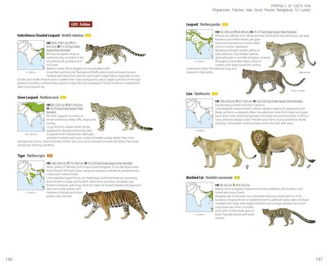 Mammals of South Asia – Lynx Edicions