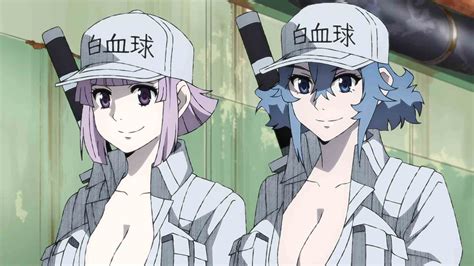 Hataraku Saibou Black Episode 03 H265 Subtitle Indonesia Lendrive