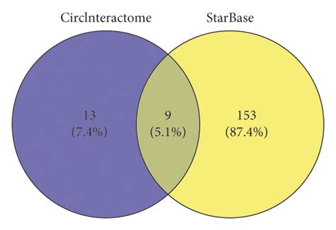 Circ Acts As A Sponge For Mirna A Venn Diagram Showed