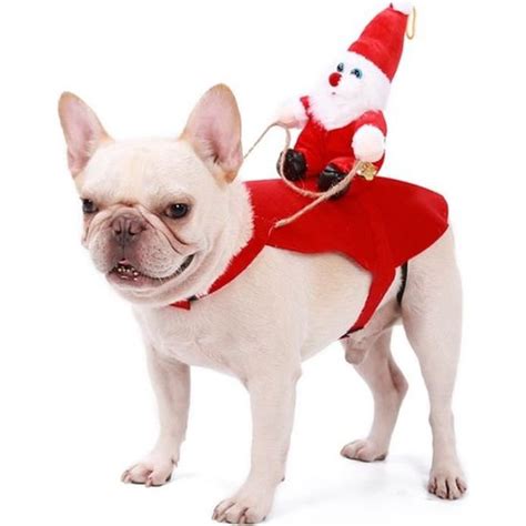 Costume De No L Pour Chien Deguisement Noel Chien Taille R Glable