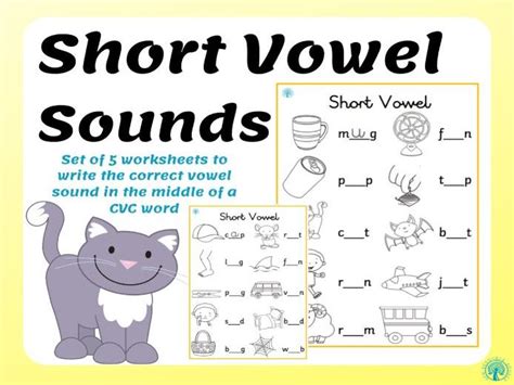 Short Vowel Sounds In Cvc Words Teaching Resources