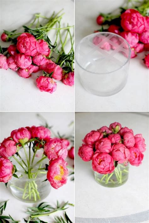 Peony Flower Care and Fun Facts ~ - KristyWicks.com