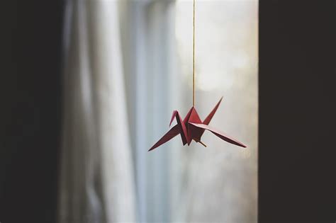 Free download | HD wallpaper: red, origami, crane | Wallpaper Flare