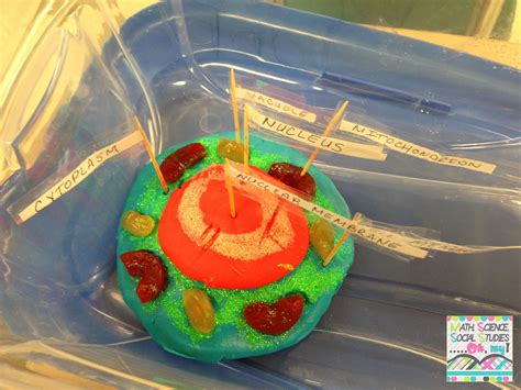 Math, Science, Social Studies......Oh, my!: 3D Cell Projects