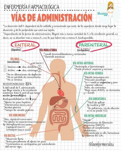 Apuntes De Enfermería Vías De Administración Enfermería Farmacología