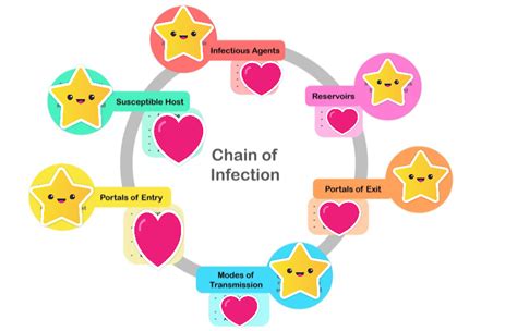 Chain Of Infection Chain Of Transmission Detailed Examples Diagram