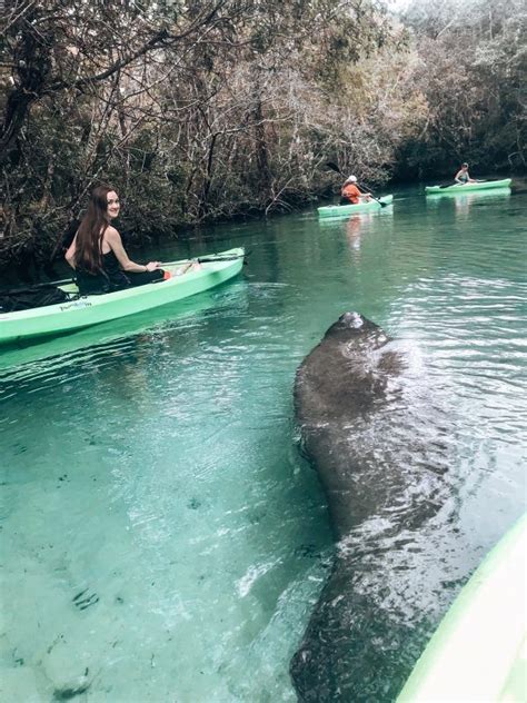 Day Trips from Clearwater Beach, FL - My Perfect Itinerary | Clearwater