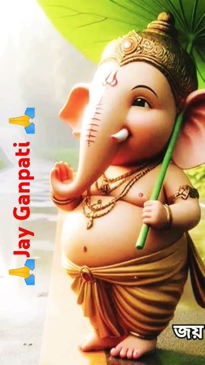 🙏🌺🌼jay Ganpati 🌺💮bappa 🙏🌼🙏🙏🙏🌺🌹🌹🌹 Youtube