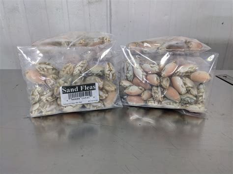 7910WB – Sand Fleas, Blanched 24ct – Aylesworth's Fish and Bait