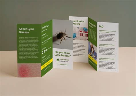 Free Simple Lyme Disease Information Trifold Brochure Templates To