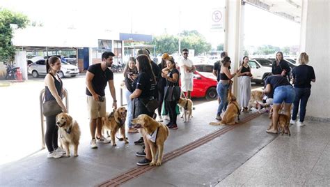 Manifestantes Pedem Justi A Ap S Morte De Joca Cachorro Extraviado Em