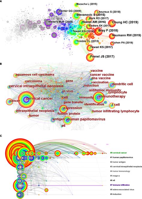 Frontiers Immunotherapy In Cervical Cancer From The View Of