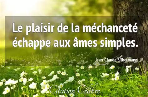 Citation Jean Claude Silbermann Mechancete Le Plaisir De La