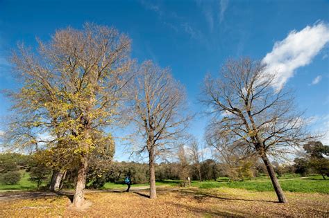 Instantes Fotos De Sebasti N Navarrete Casa De Campo Madrid Siete