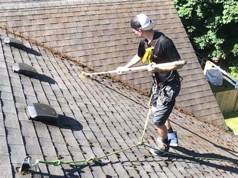 Roof Moss Removal Service Company In Seattle Washington