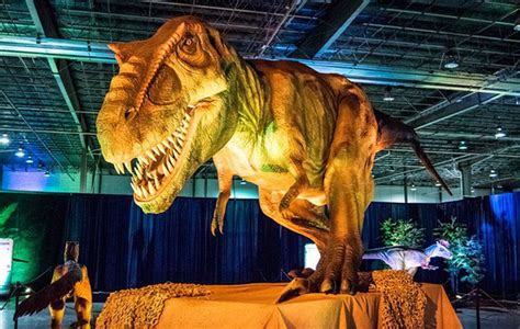 Dinosaurs On Display This Weekend Entertainment Goshennews