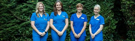 Cbct Referral Wayside Dental Practice Dentist In Harpenden