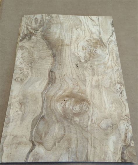 Olive Ash Burl Wood Veneer X Raw No Backing Thickness Aa