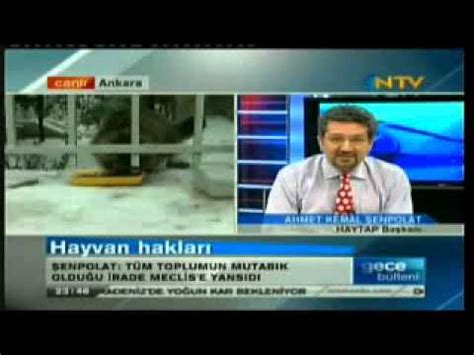 Hayvan Hakları Yasa Değişikliğinde Gelişmeler 2012 Şenpolat YouTube