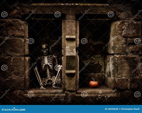 Halloween Skeleton stock photo. Image of graveyard, person - 34020638