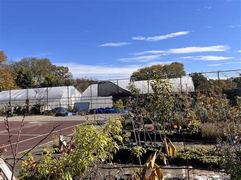 Growing Food Across The City With The Philadelphia Orchard Project — Pa Eats