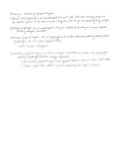 Secondary Lymphoid Organs 6
