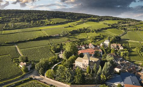 DOMAINE DU CHATEAU PHILIPPE LE HARDI Vignobles