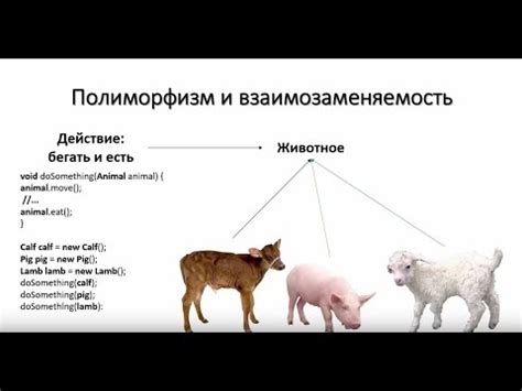 Полиморфизм. ОЧЕНЬ КОРОТКО и ПОНЯТНО. - YouTube
