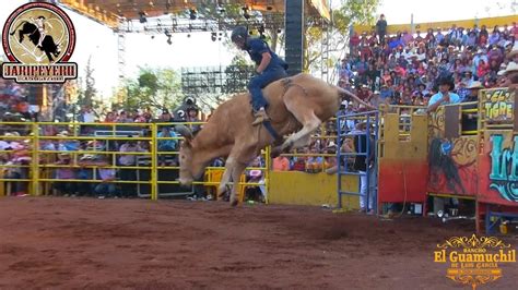 LA NUEVA CAMADA DE LOS TOROS GRANDES Rancho El Guamuchil En Santa Ana