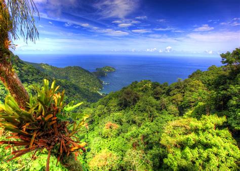 Travel Photo Beautiful Trinidad View Trinidad And Tobago Travel