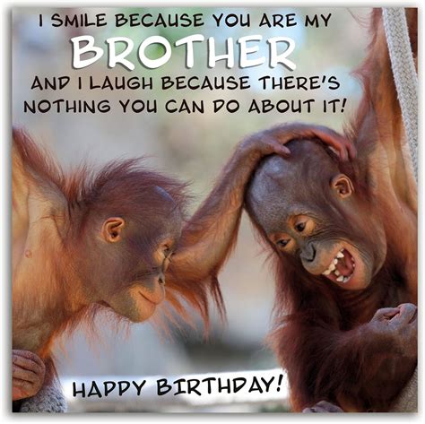 The Heritage Press Funny Birthday Cards For Brother With Envelope