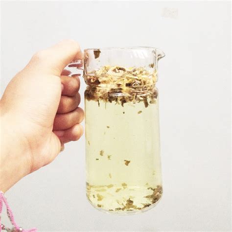 Why Being Vegetarian Means A Lot of Fun