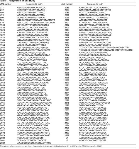 Table 1 From Regulation Of Arabidopsis Tapetum Development And Function