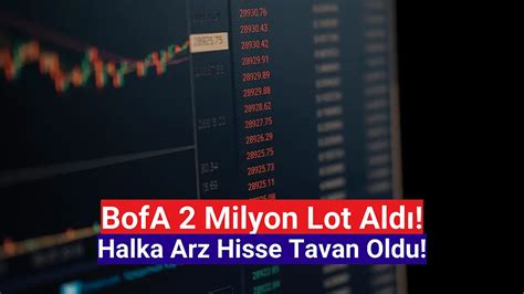 BofA 2 milyon lot aldı Halka arz hisse tavan oldu