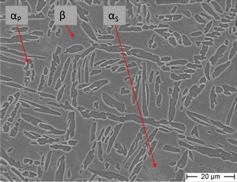 As Built Microstructure Of An EB PBF Ti 5553 Using EL 600 J M