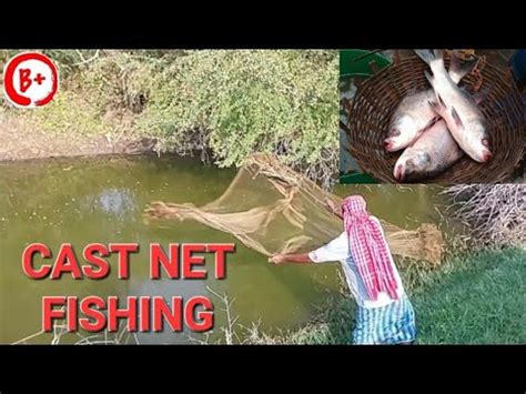 Cast Net Fishing Unbelievable Cast Net Fishing Catching Lots Of Fish