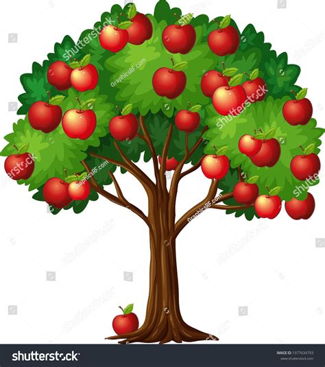 Clipart Of Apple Tree